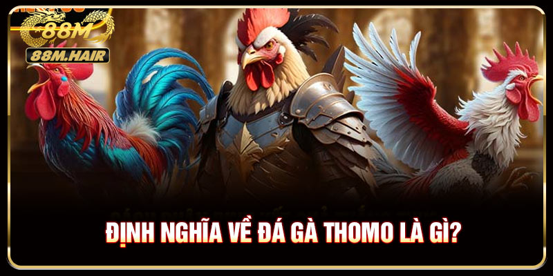 Cách phân định kết quả thắng thua đá gà thomo là gì?