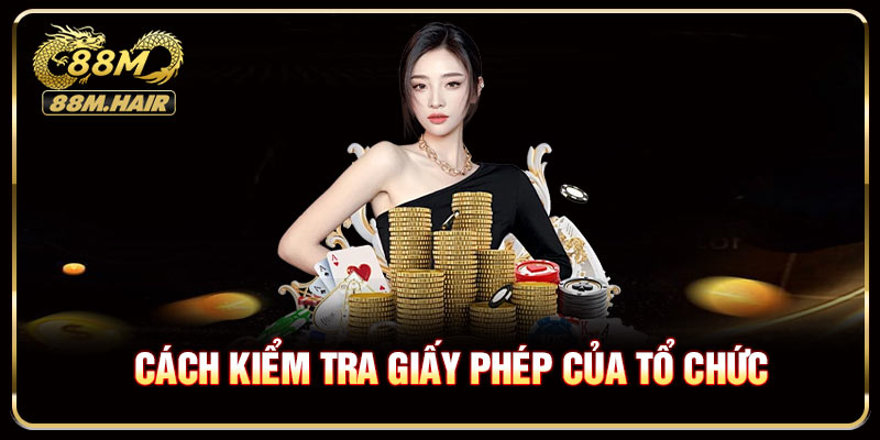 Cách kiểm tra giấy phép của tổ chức
