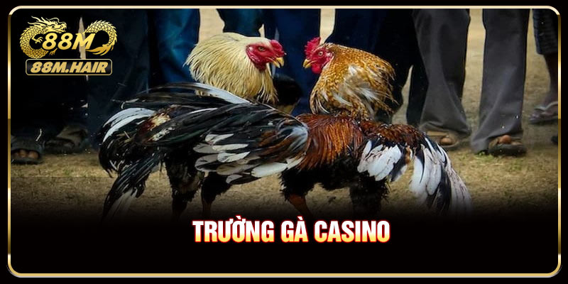 Trường Gà Casino - Hướng Dẫn Tham Gia Đá Gà Online
