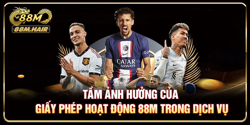 Tầm ảnh hưởng của giấy phép hoạt động 88M trong dịch vụ