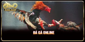 Đá Gà Online - Hé Lộ Những Tính Năng Hấp Dẫn
