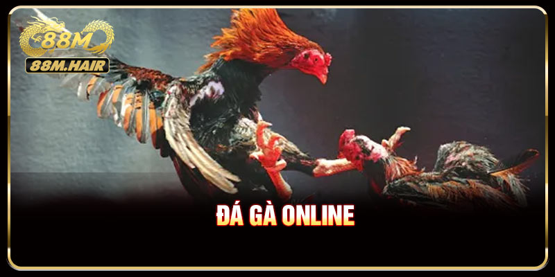 Đá Gà Online - Hé Lộ Những Tính Năng Hấp Dẫn